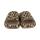 DOCKER´S by Gerli Badepantolette natur/beige Leo-print NICHT Barfußschuh! Weite W
